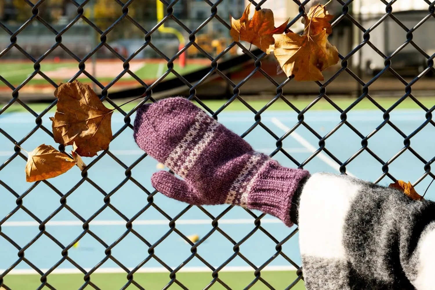 2-Color Mittens (Knit)