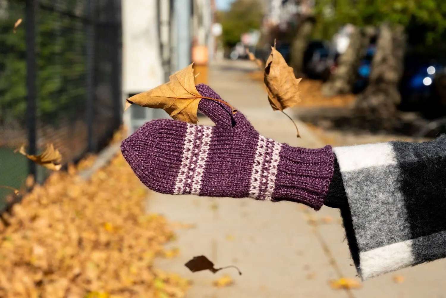 2-Color Mittens (Knit)