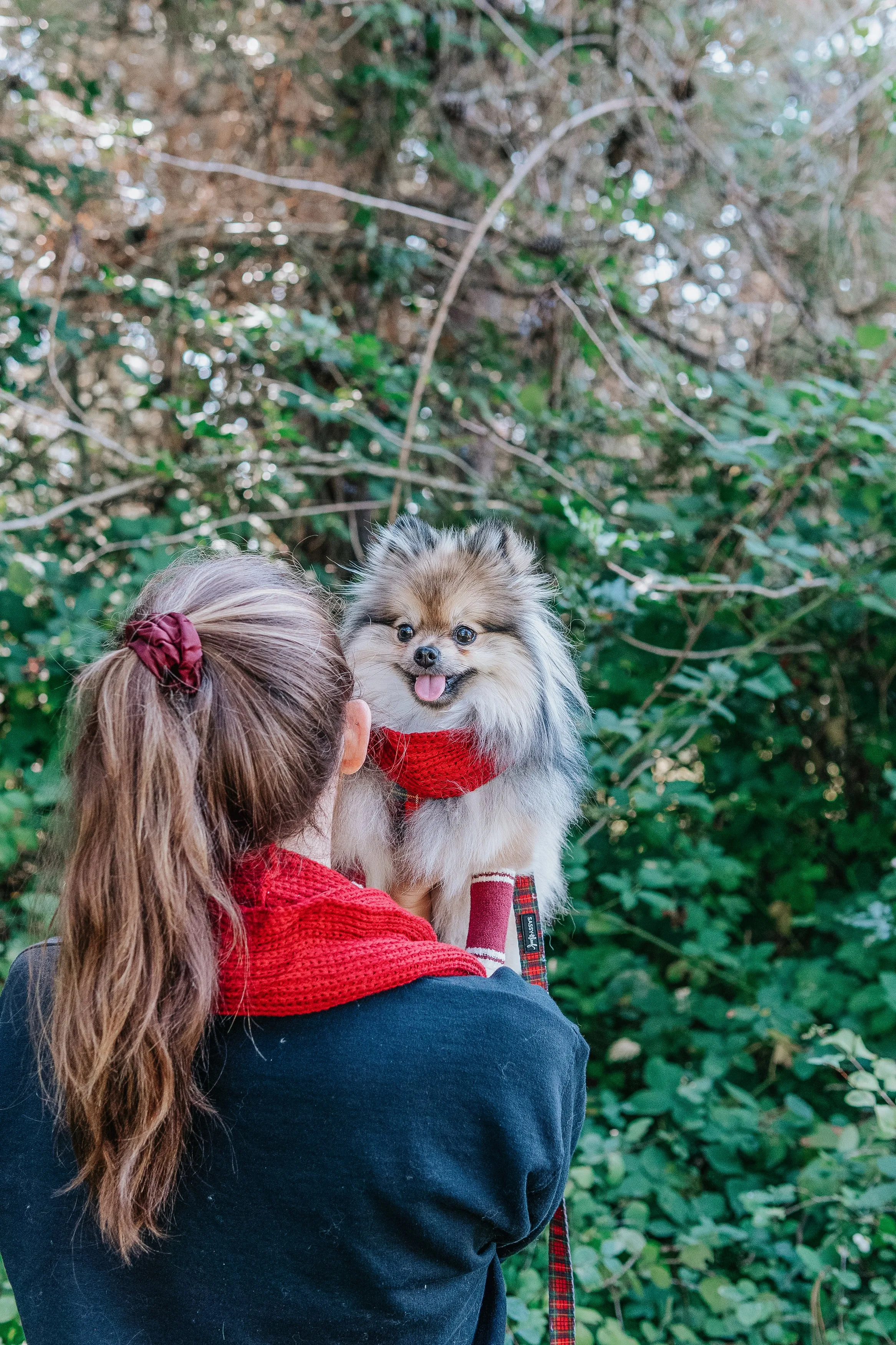 Bundle - Dog Infinity Scarf & Human Infinity Scarf